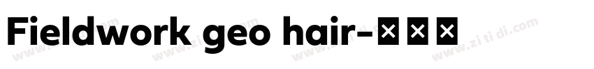 Fieldwork geo hair字体转换